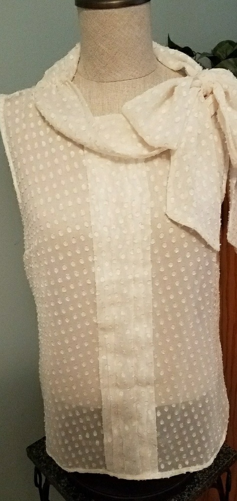 Sheer retro top